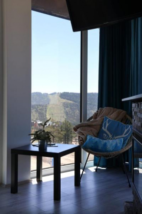 Vila Onyx